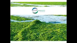 OCEAN HARVEST TECHNOLOGY GROUP PLC - Investor Presentation