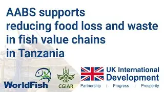 AABS supports reducing food loss and waste in fish value chains in Tanzania