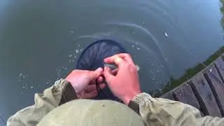 Форель , 34 кг на троих. Супер рыбалка в мае.Fishcop