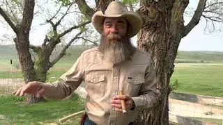 Practicality and Purpose in Riding Clothes