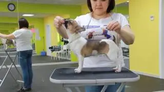 Милочка в зале 7 месяцев