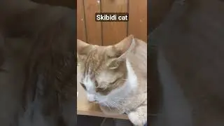 Skibidi