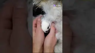 Мило 🥰🥰🥰