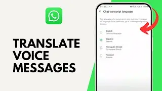 How to Translate Voice Messages in WhatsApp