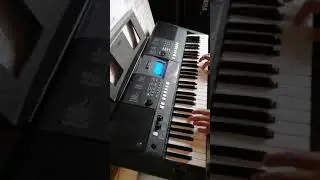 Folkrok Yamaha psr e423