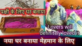Neya ghar banaya 2 🐦 mehman ke liye ||