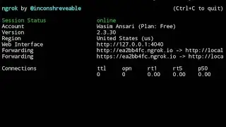 NGROK reconnecting issue solved... 🔥🔥🔥| 100% Working Method |  | NGROK Installation | |