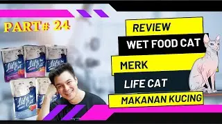REVIEW PRODUCT WET FOOD  LIFE CAT || MAKANAN BASAH KUCING MERK LIFE CAT