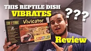 Honest Reptile Product Review !!! Exo Terra Vivicator Vibrating Dish !!