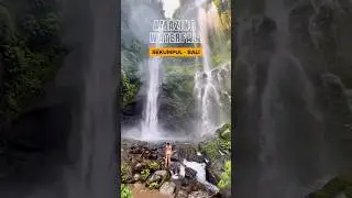The Most Beatuful Waterfall in Bali #shorts #waterfalls #waterfall #bali #nature #trendingvideo