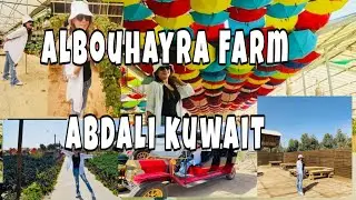 ALBOUHAYRA FARM  ABDALI KUWAIT I Mhae Be Vlog