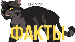 Факты о Частоколе|«Коты-Воители»