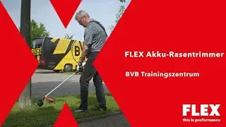 FLEX Akku-Rasentrimmer GLT 35 18-EC mit BVB-Legende Nobby Dickel!