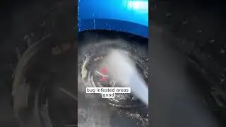 The Best Touchless Car Wash Soap 