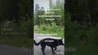 со слов сотрудников полиции на меня было подано заявление с которым меня даже не ознакомили #rec
