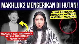 MAKHLUK2 HUTAN paling MENGERIKAN! MINUS 5000 AURA!