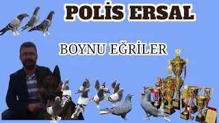 🇹🇷SAYISIZ BAŞARI (POLİS ERSAL )🇹🇷