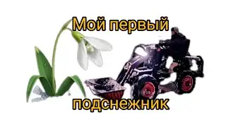 Минипогрузчик. Последствия встречи с "подснежником"...