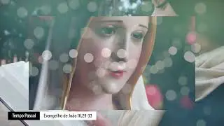 Evangelho de 13 de maio