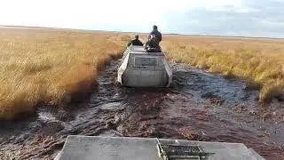 ...не болото , а болотище ))))