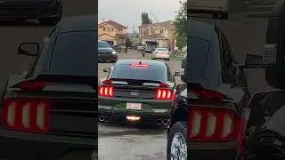 Carwash all my cars#automobile #automobile #carwash