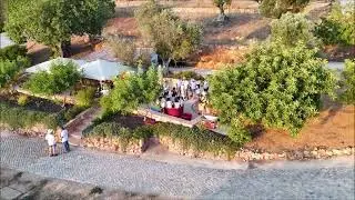 Quinta dos Capinhas - Vindima 2024