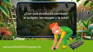 ¿Con qué producto combatir el pulgón, las orugas y la tuta? Massometrin