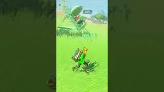 Legend Of Zelda: Baby Korok