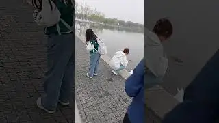 Giving food to ducks swimming pond.