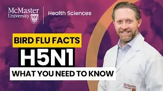 H5N1 Explained: What you need to know about avian flu