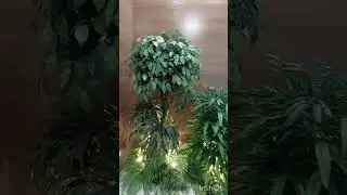 Флорариум для офисного помещения г. ЕКАТЕРИНБУРГ