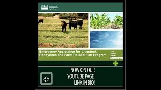 USDA ELAP PROGRAM