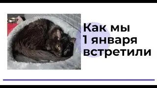 1 января в ветклинике