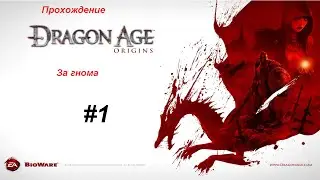 Прохождение игры Dragon Age Origins: за знатного гнома 1 серия
