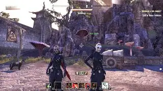 Summerset Intro - Through a veil darkly