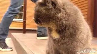 После завтрака.