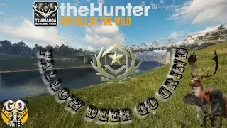 Fallow Deer GO Grind | Te Awaroa National Park | TheHunter Call Of The Wild!!