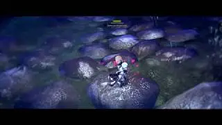 Обзор на УворотПомойку ( Ассасин ) Royal Quest