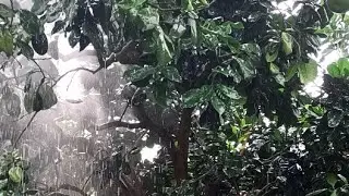 Xiwang Chenell sedang live sekarang!