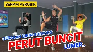 SENAM AEROBIK BAKAR LEMAK PERUT