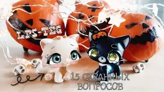 LPS: Тег//15 странных вопросов//