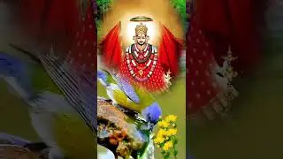jai shree khatu Shyam ji #khatu #shyam #mostpopularshyambaba #fansofkhatushyamji #khatushyam