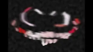 Roblox PANIK: Full Survive the Night mode