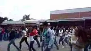 caballo dorado
