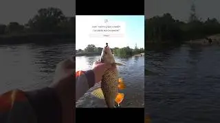 голавль на силикон?