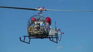 A Little Bell 47 Action