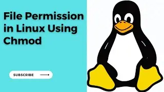 Linux File Permissions || Chmod Command in Linux || Chmod Linux and File Permissions Explained