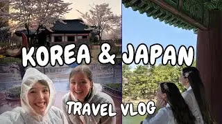 Speaking Japanese in Japan & A WILD Day in Gyeongju || Travel Vlog Spring 2024