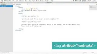HTML 02: Doctype a kostra HTML dokumentu