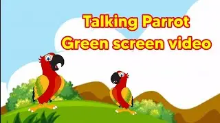 Talking Parrot green screen video #nocopyrightvideo #animation #kidsvideo #animated #royalty free